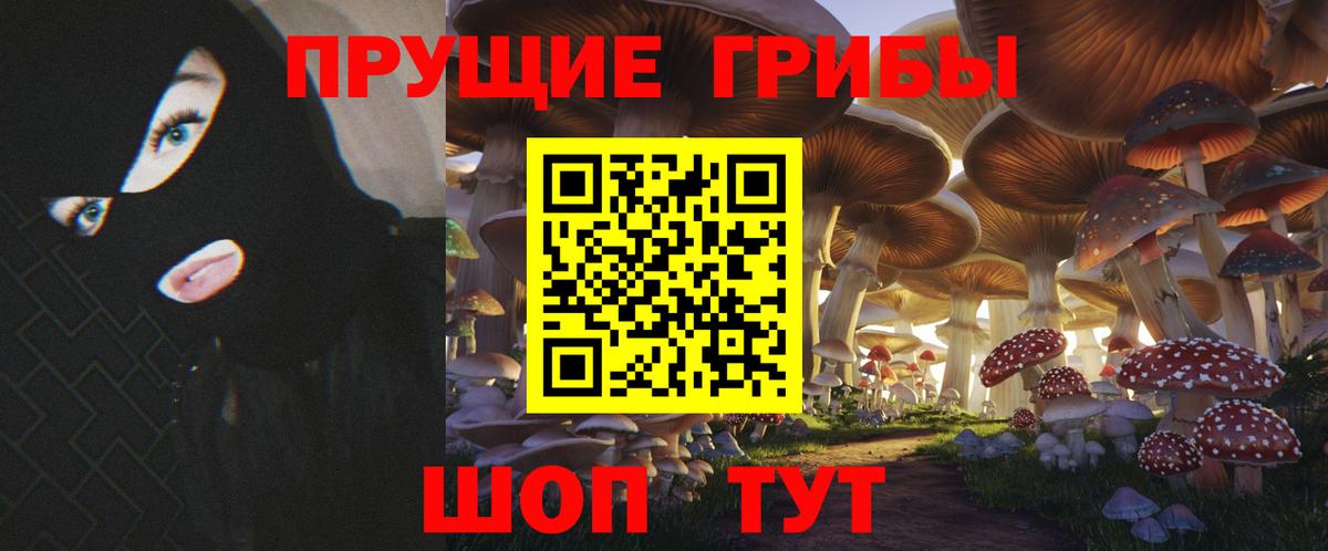 Тихвин  Галлюциногенные грибы мухоморы  Вход с VPN 